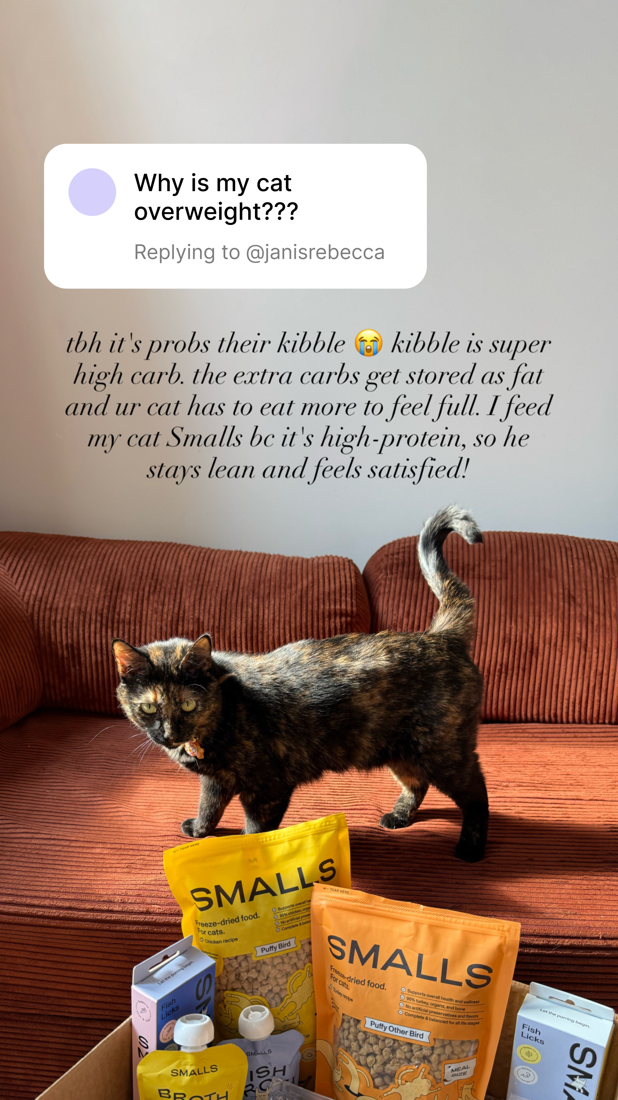 Smalls Facebook ad