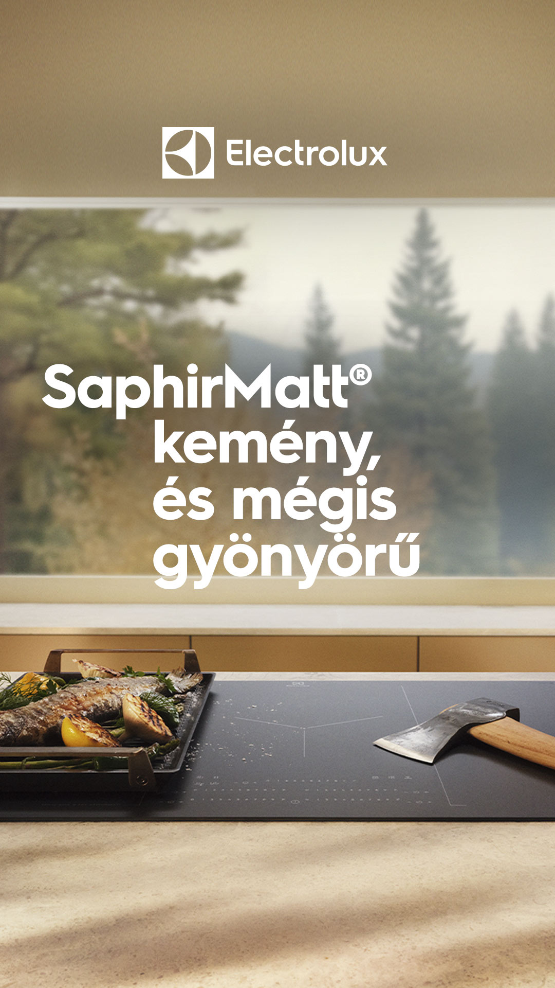 Electrolux Facebook ad from Jan 1, 2026