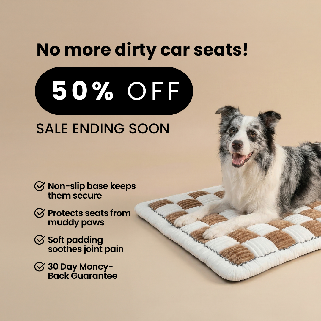 ComfyDawg Facebook ad: 50% OFF Best-Selling Travel Cushion