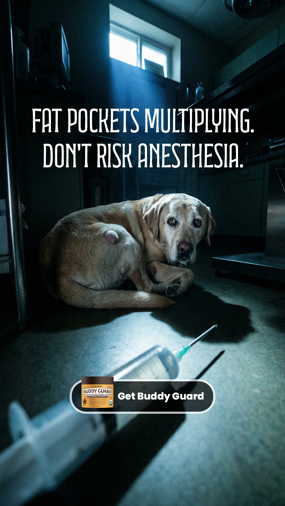Petsmont Facebook ad