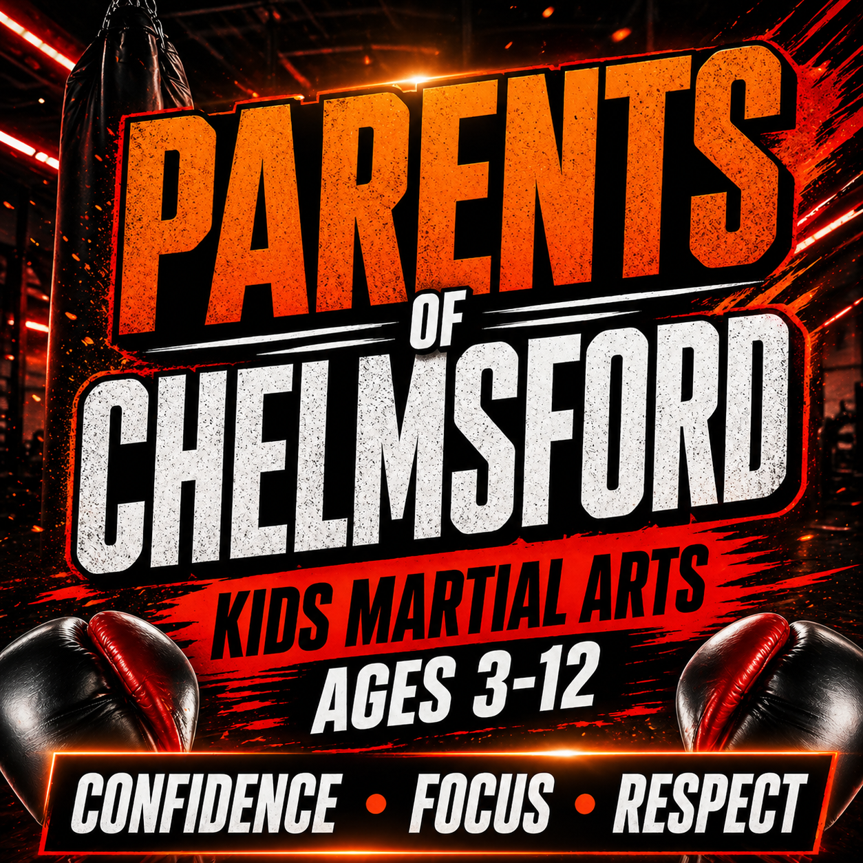 Phoenix Martial arts Chelmsford Facebook ad