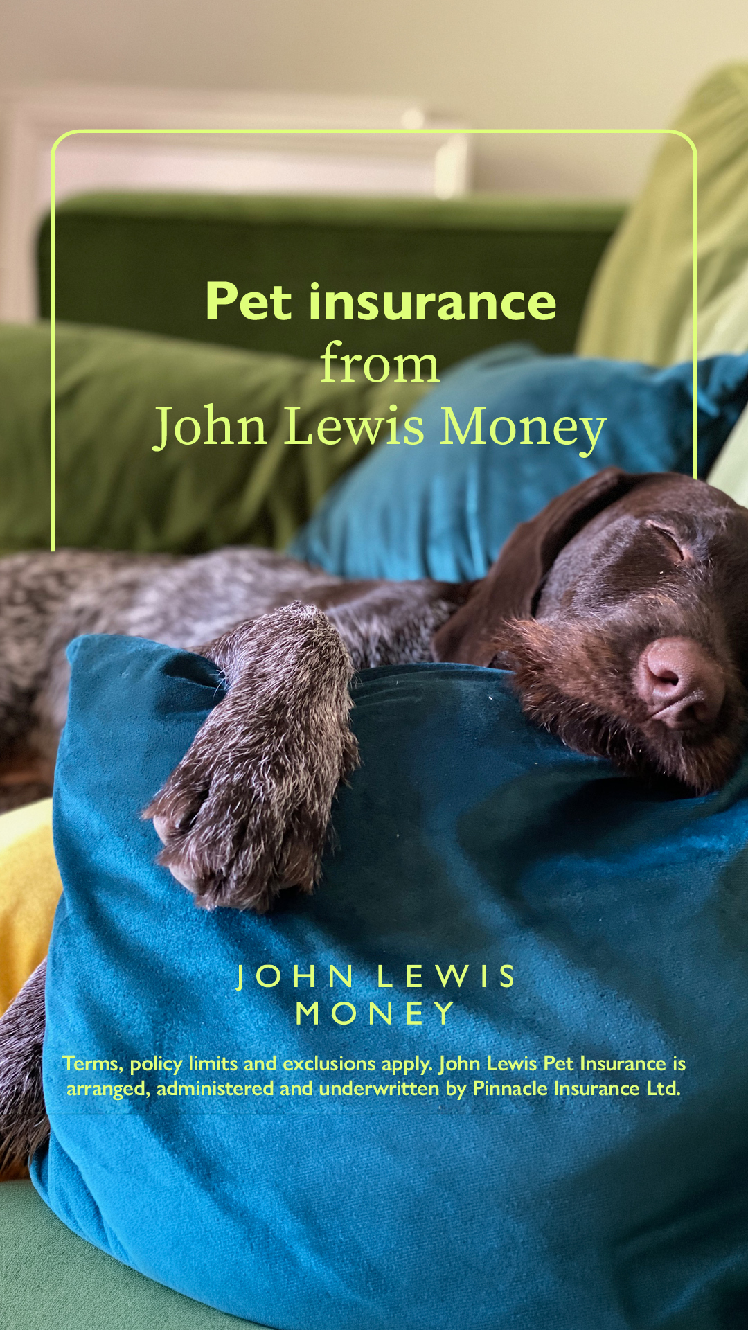John Lewis & Partners Facebook ad: Pet insurance from John Lewis Money