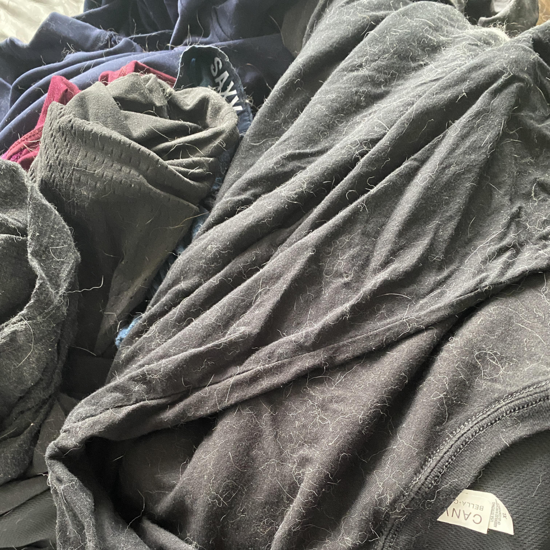 Aure Facebook ad: Vet clinics have been preventing washing machine failures…
