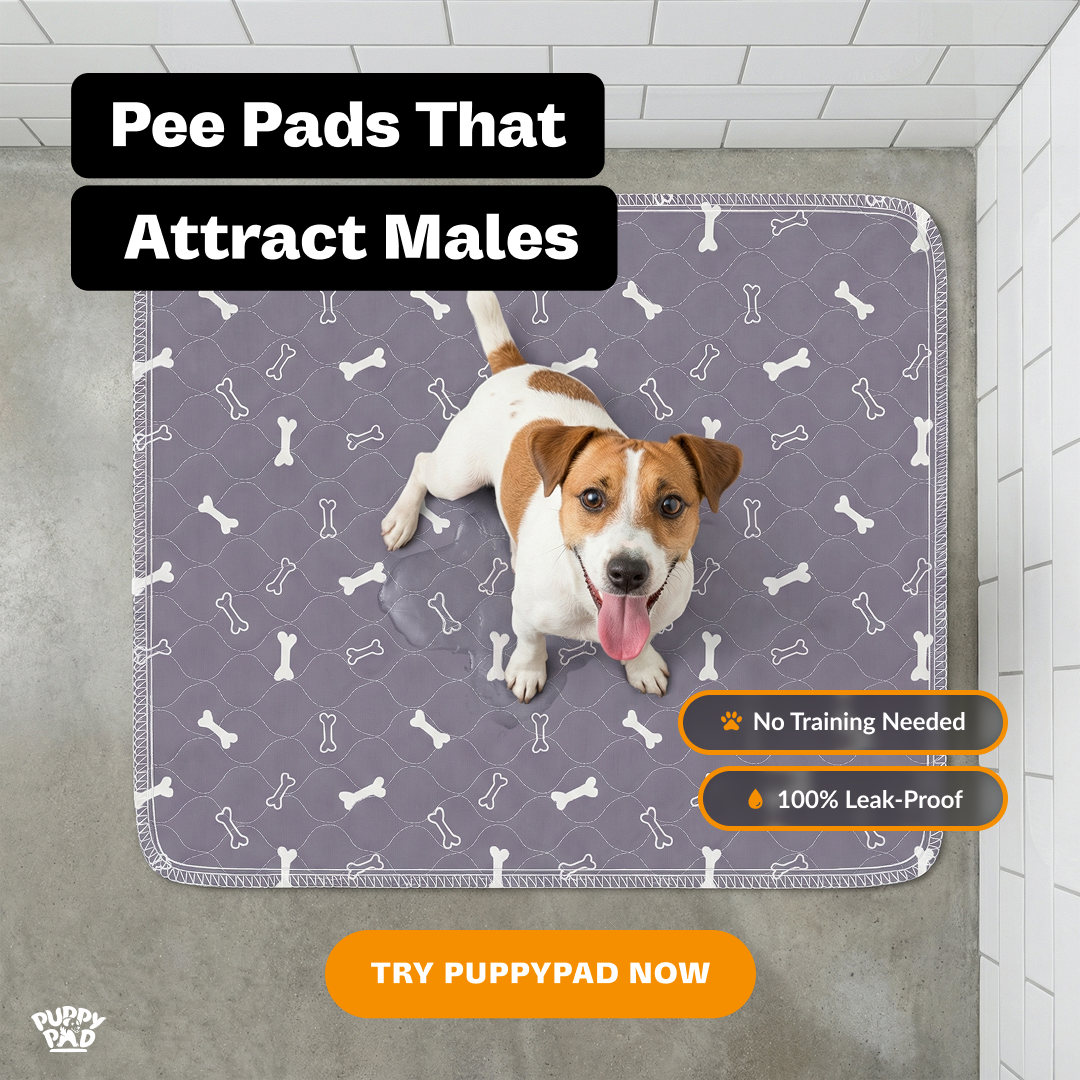 PuppyPad Facebook ad