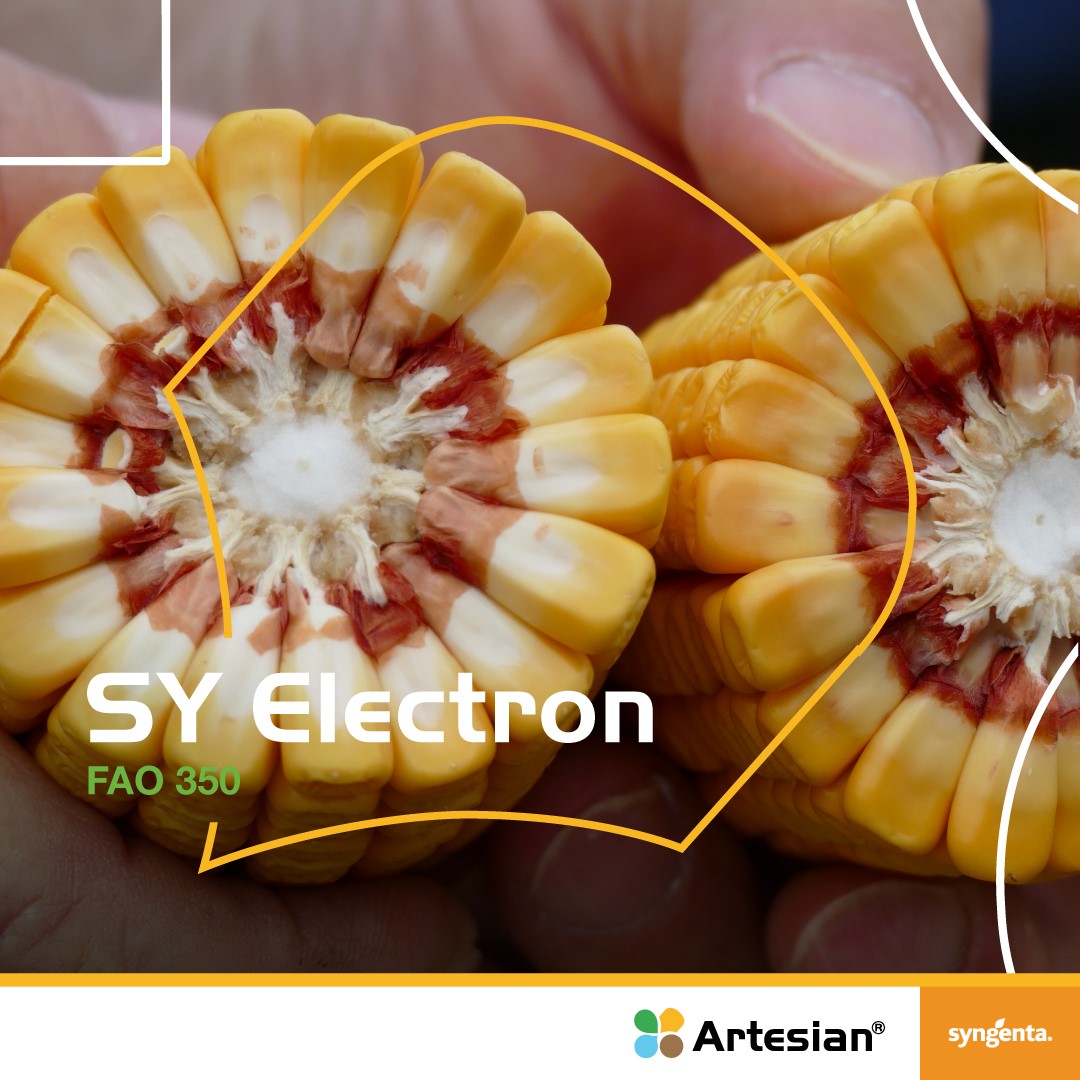 Syngenta Facebook ad: Izazovi se mijenjaju iz sezone u sezonu Ali…