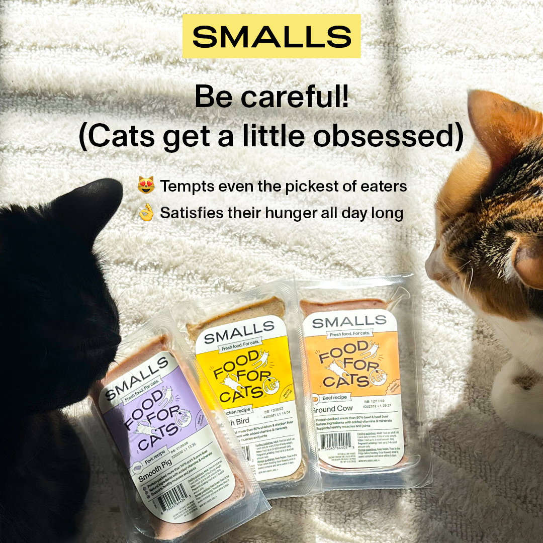 Smalls Facebook ad