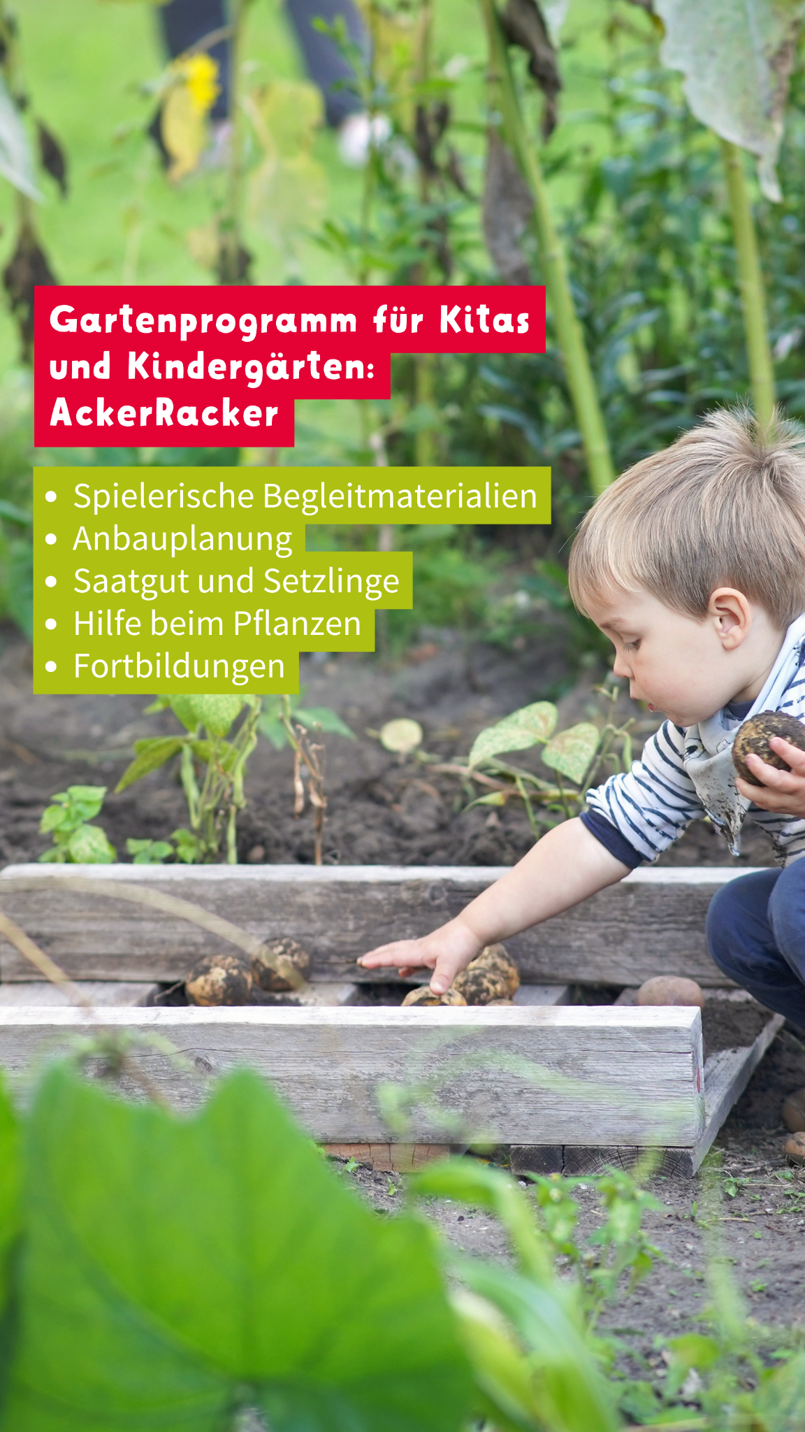 Acker Schweiz Facebook ad