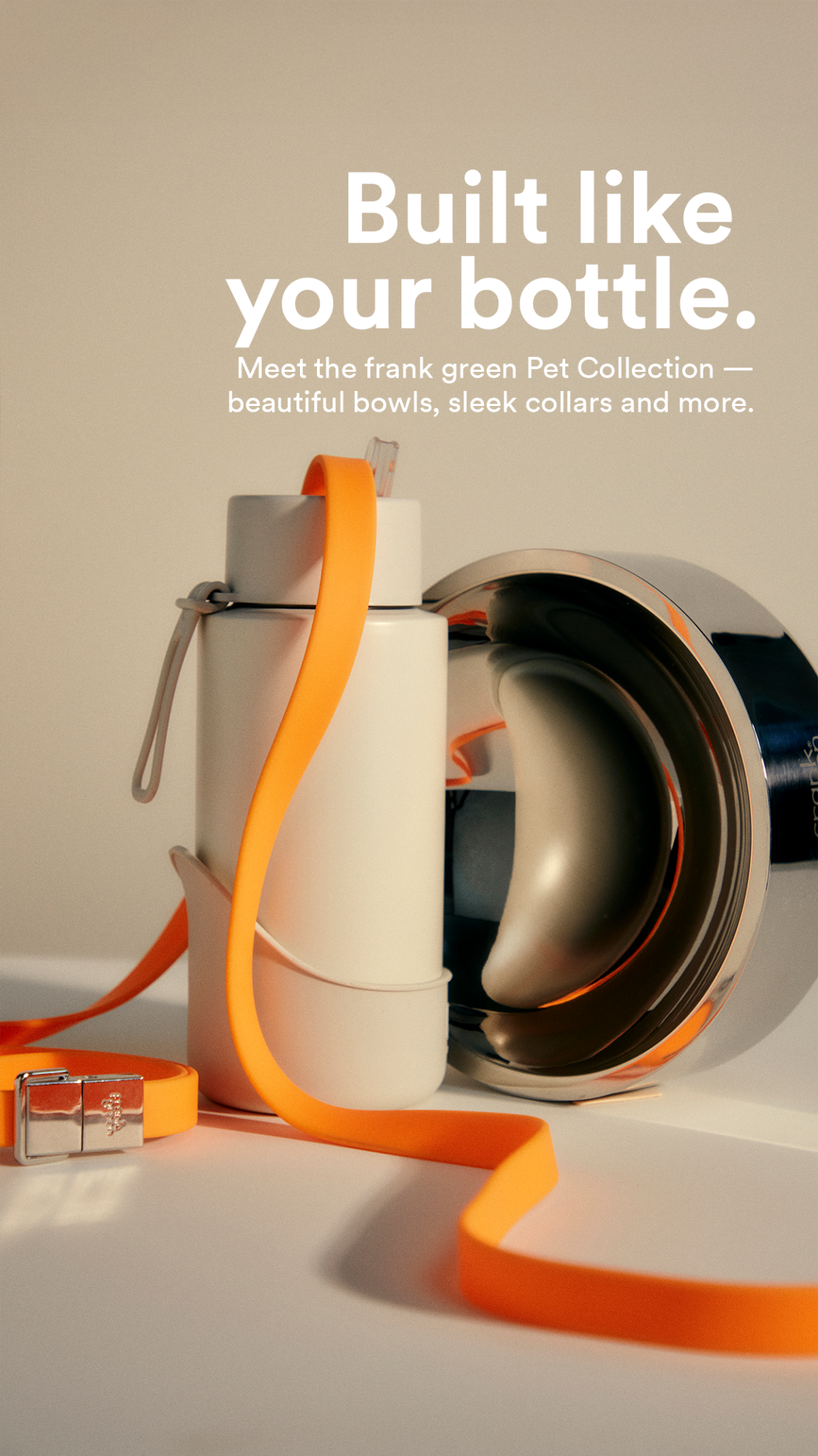 frank green Facebook ad