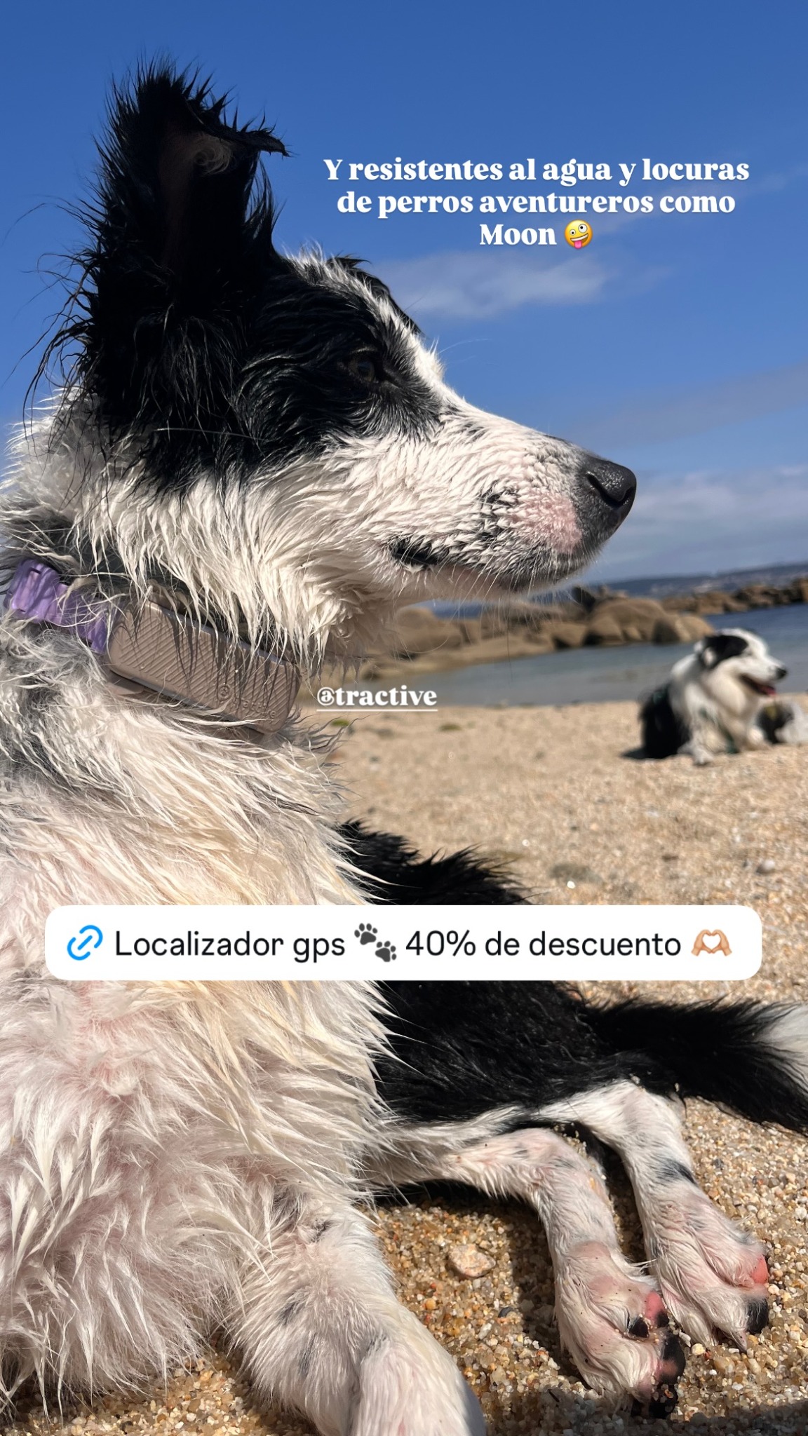 Tractive Facebook ad