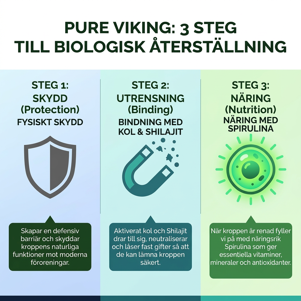 Pure Viking Facebook ad