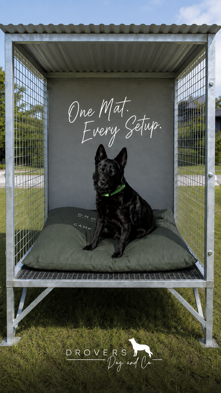Drovers Dog & Co Facebook ad