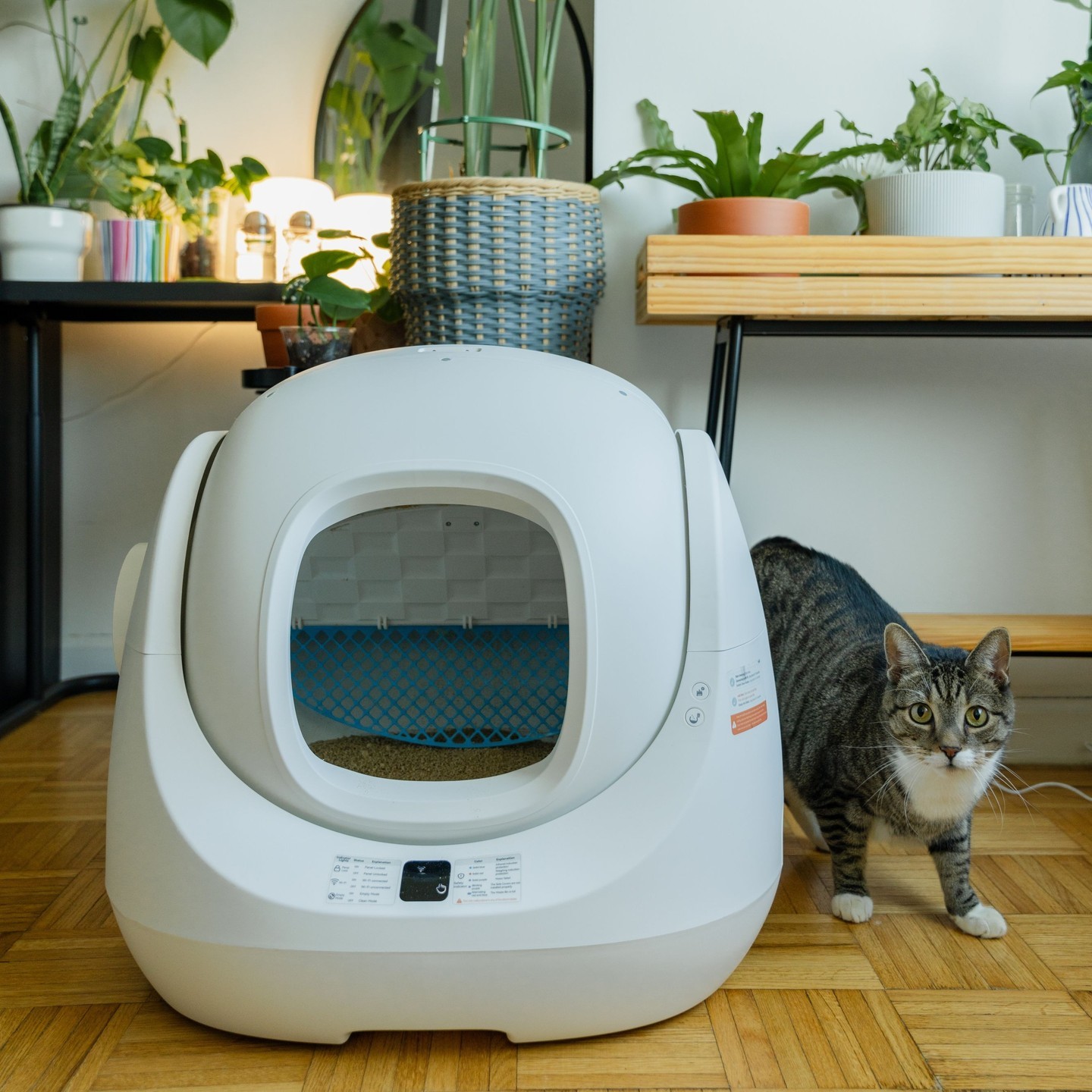 Catlink Facebook ad