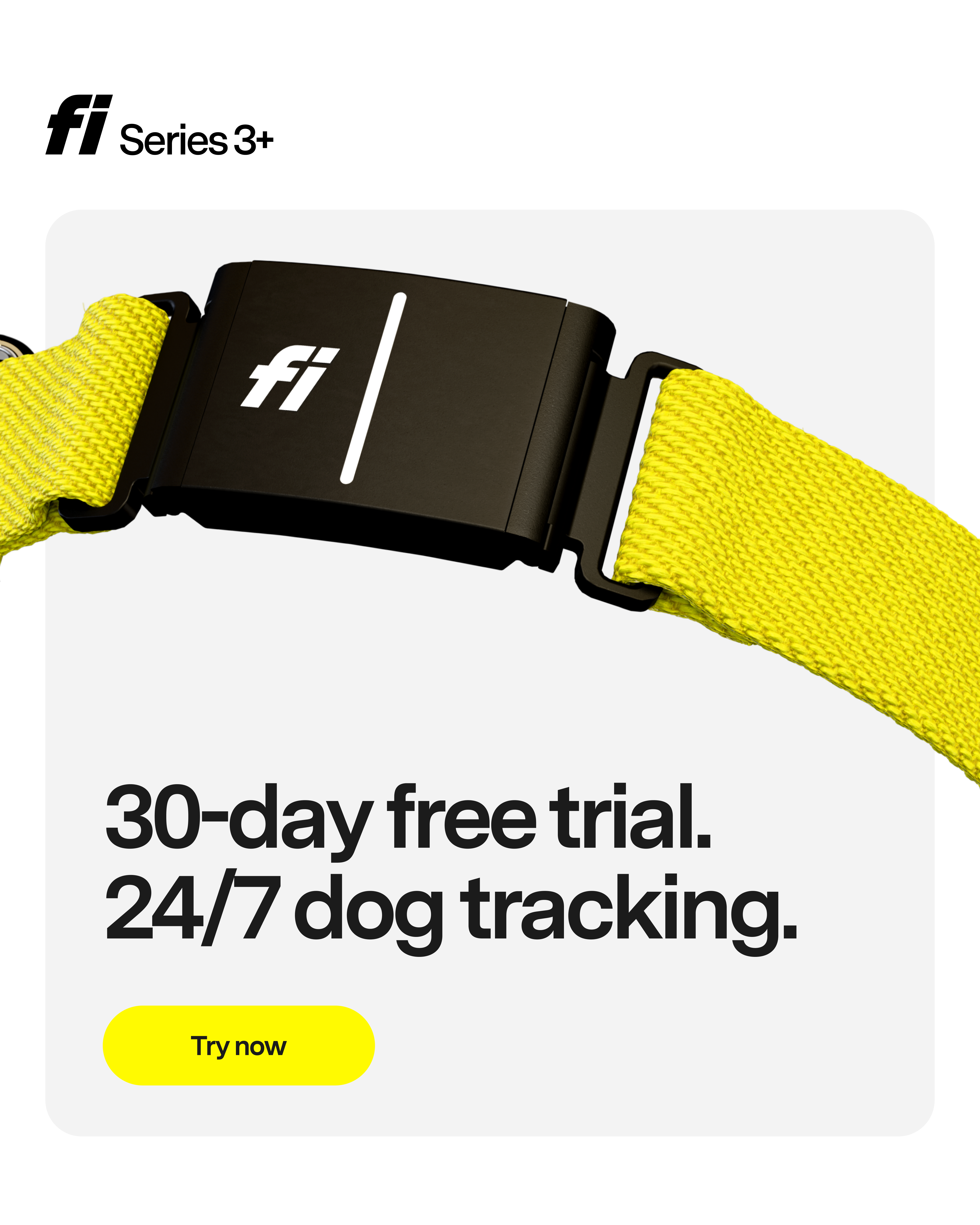 Fi Facebook ad