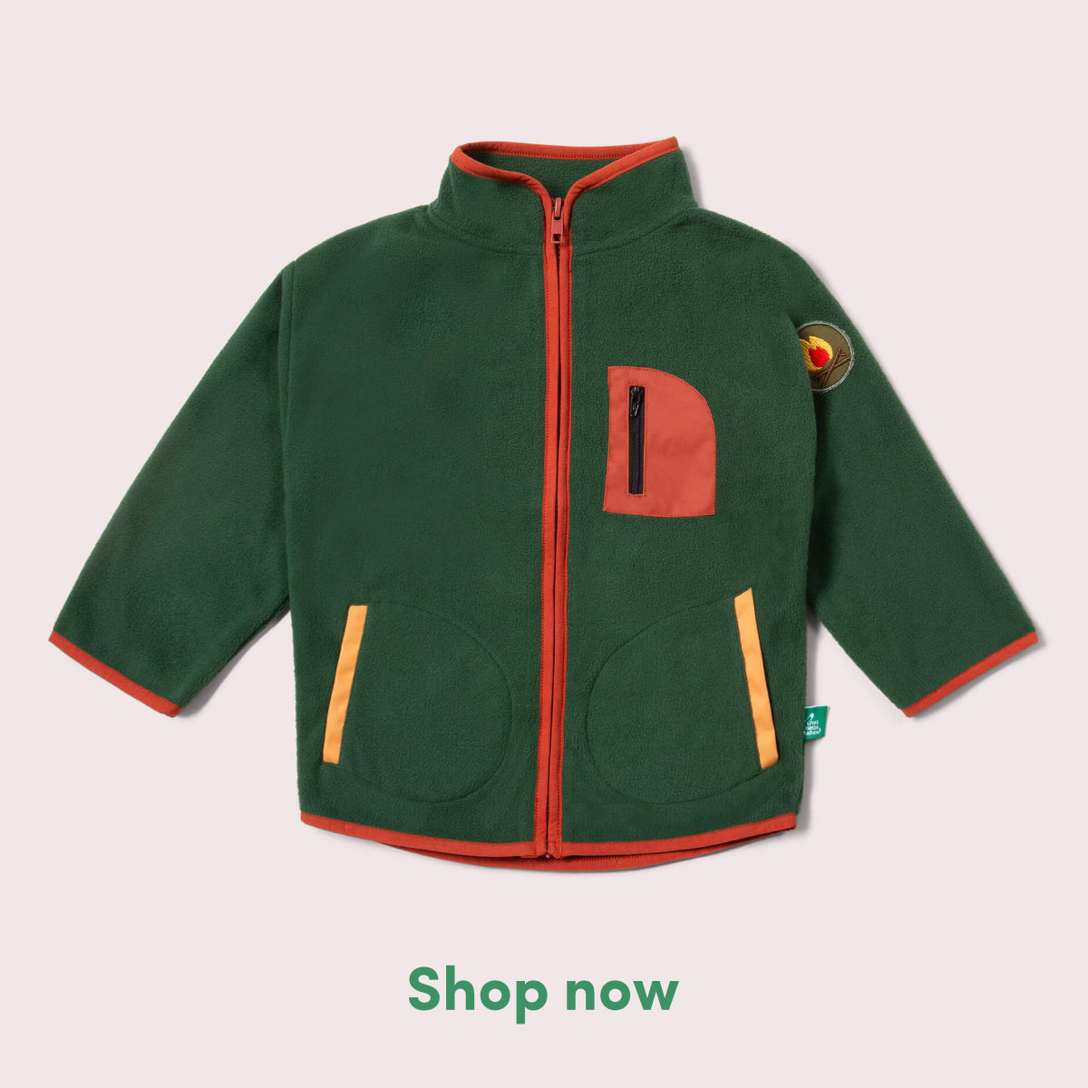 Little Green Radicals Facebook ad: New Term - New Adventures