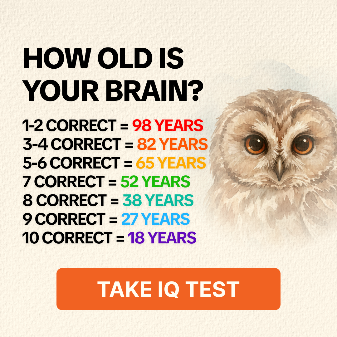 My IQ Facebook ad