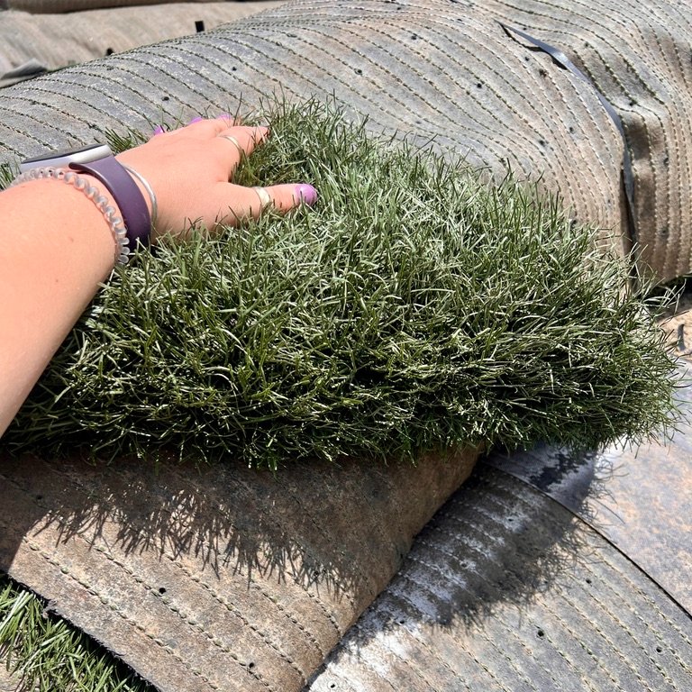 Sarah Miller Facebook ad: Forever Green Yard! $0.60 per sqft! Infill Removed!