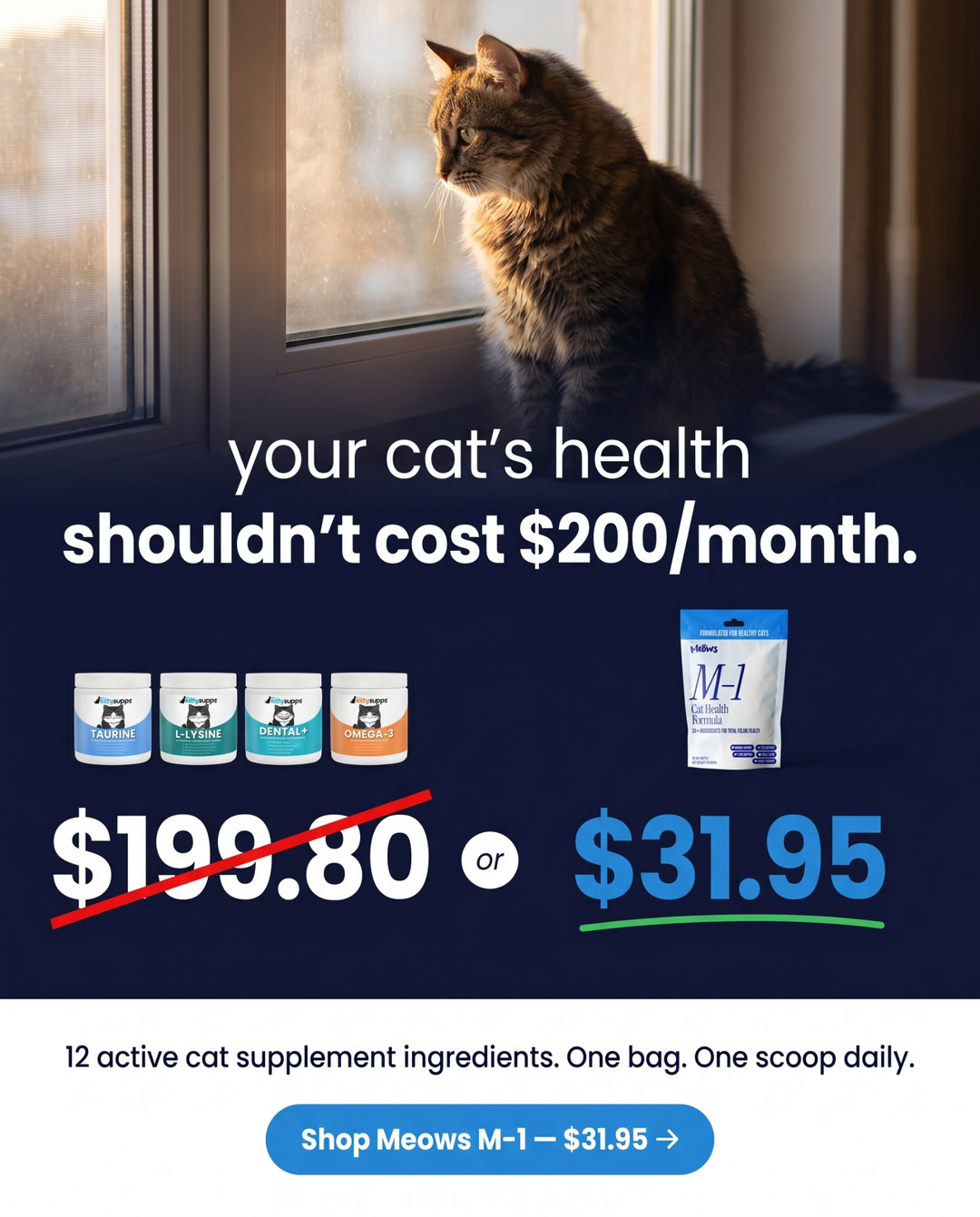 The Meows Facebook ad