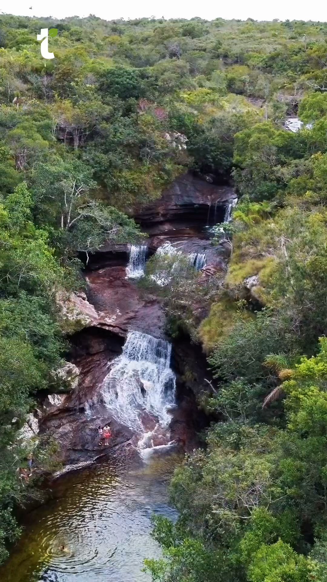 travelgreen.com.co Facebook ad: ¡Vive la magia de Caño Cristales!
