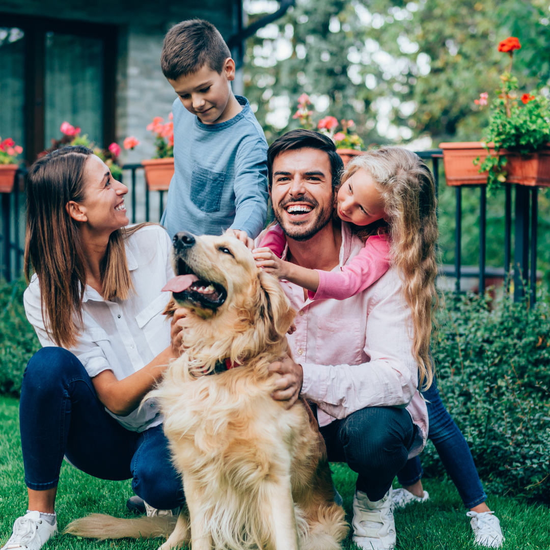 Golf Green Lawn Care & Landscaping Facebook ad