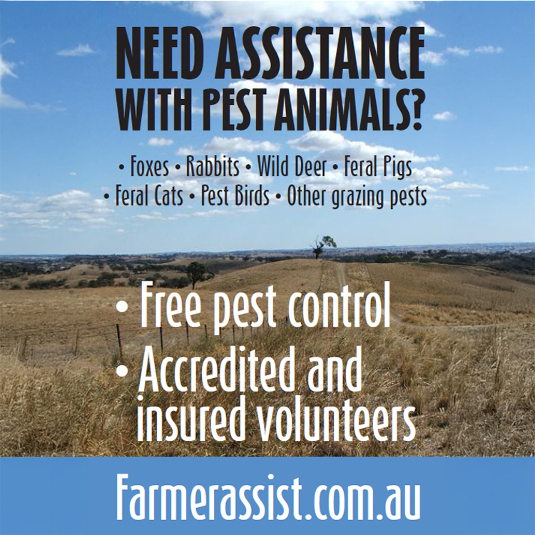 SSAA Farmer Assist Facebook ad: Pest animals causing damage on your property?