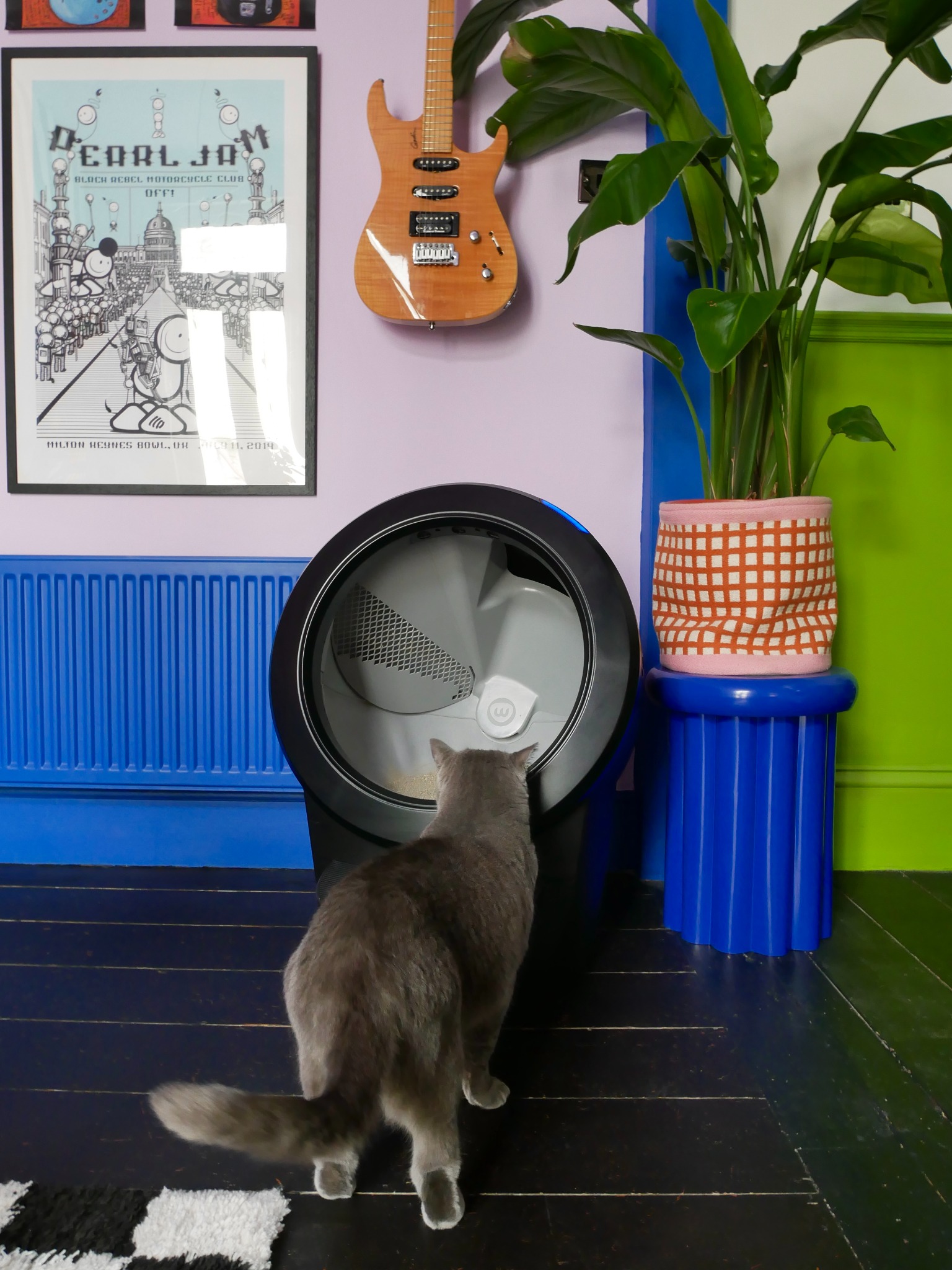 Litter-Robot by Whisker Facebook ad