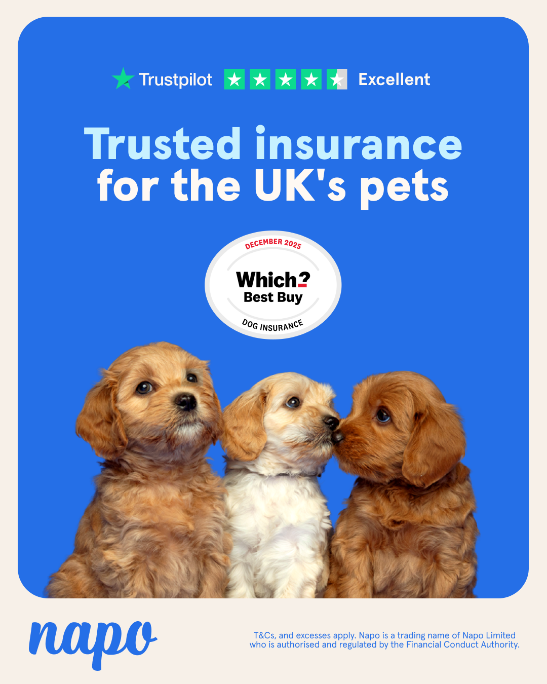 Napo Pet Insurance Facebook ad