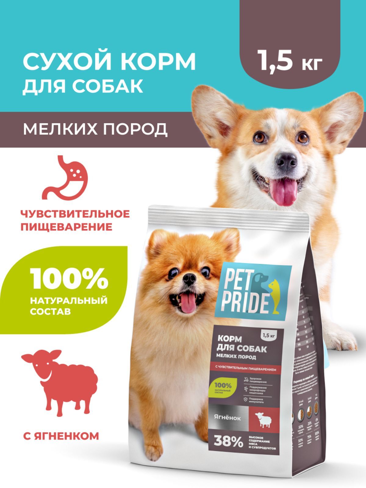 Ozon KG Facebook ad: Ozon'до сатып алыңыз