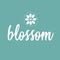 Blossom Baby & Maternity