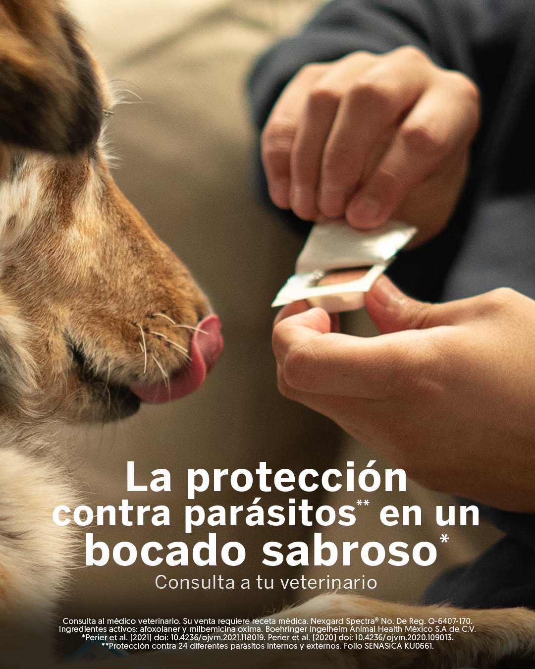 NexGard México Facebook ad