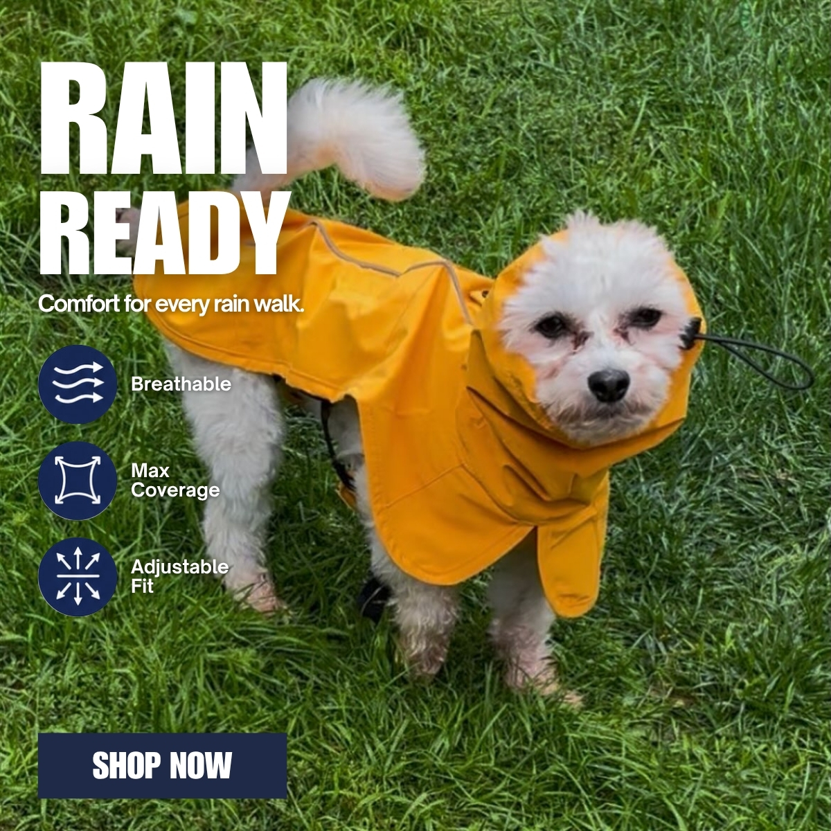 Spark Paws Facebook ad