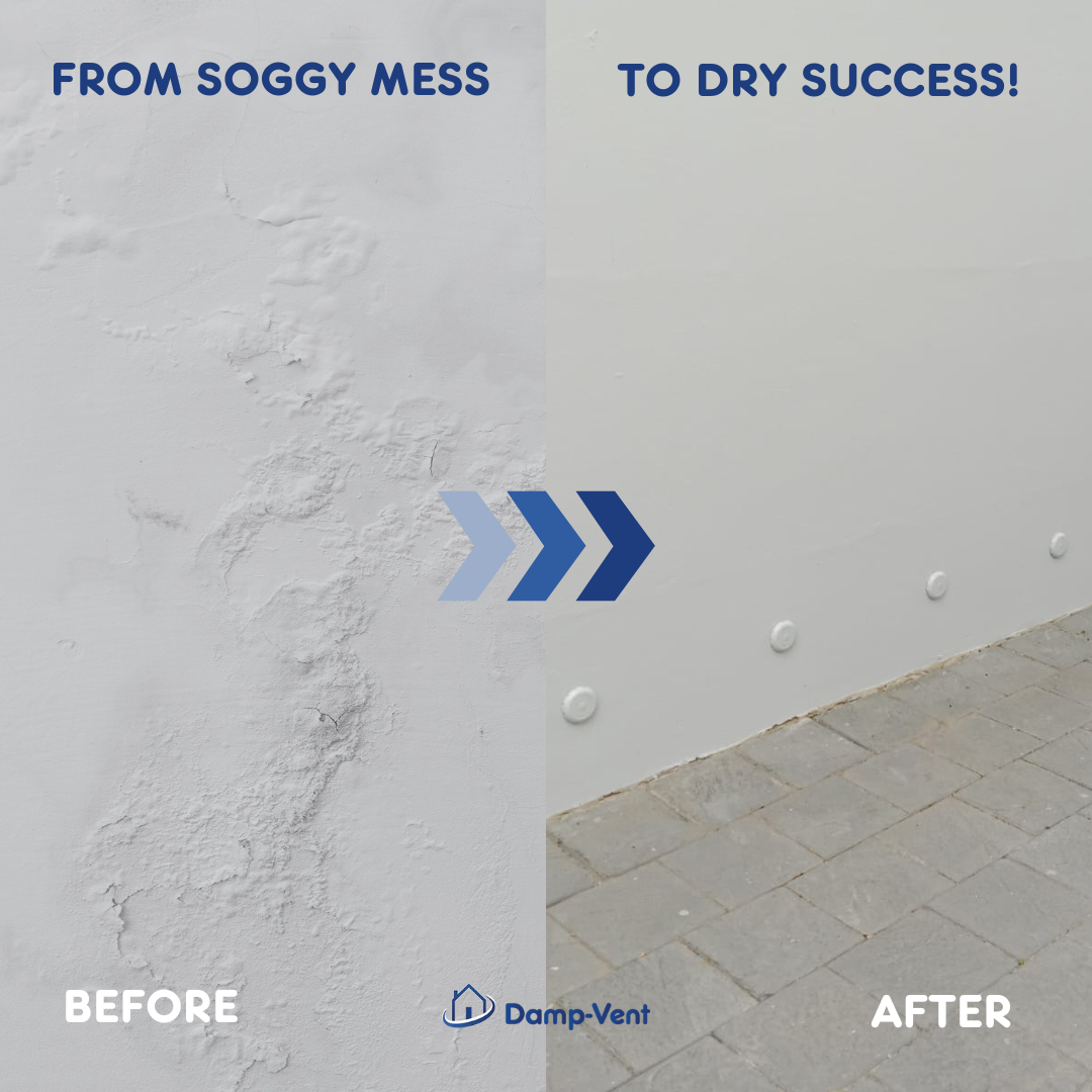 Damp Vent Facebook ad