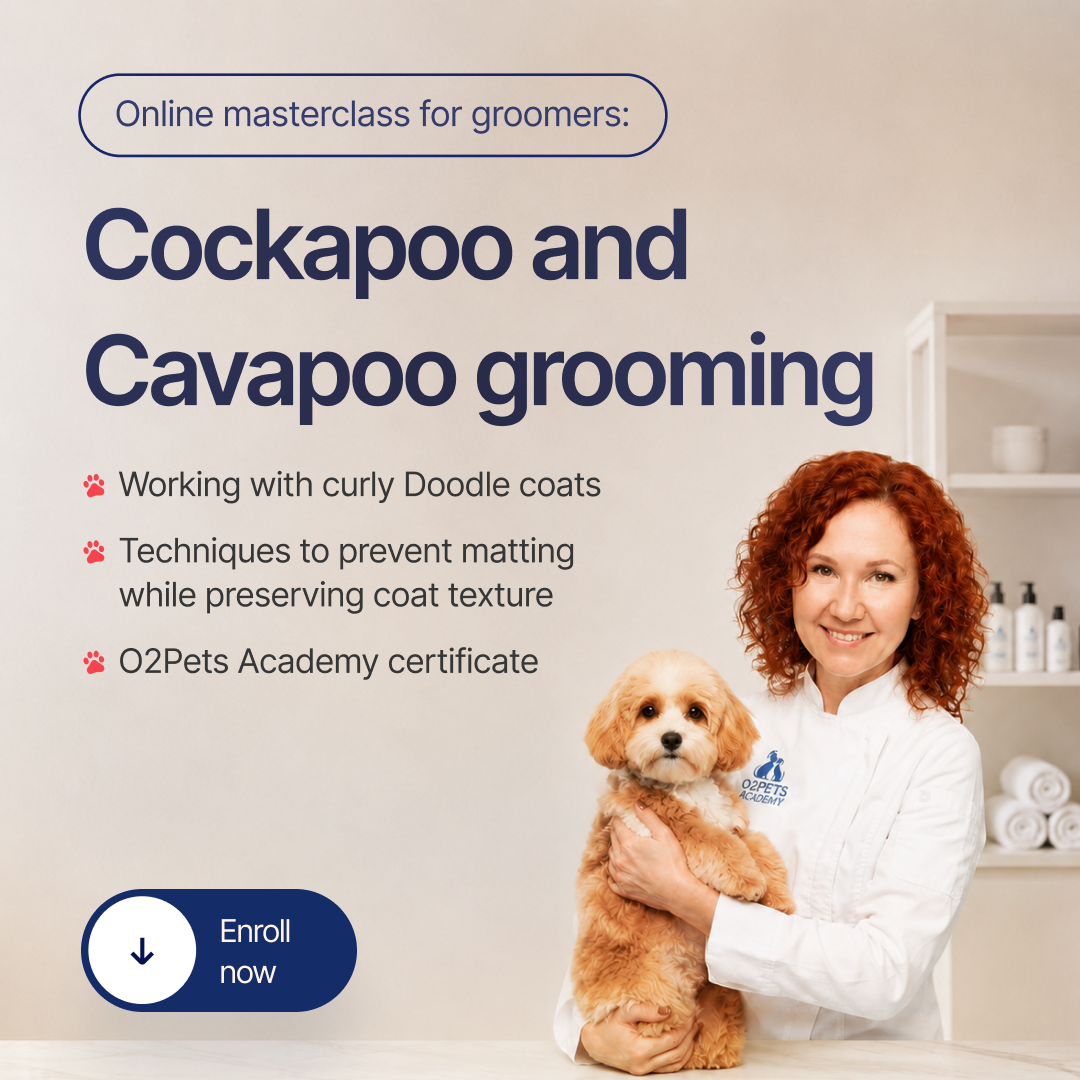 O2Pets Academy Facebook ad: Master the art of precision grooming