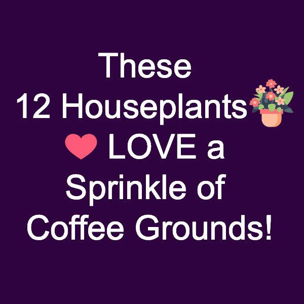 Garden Lovers Club Facebook ad