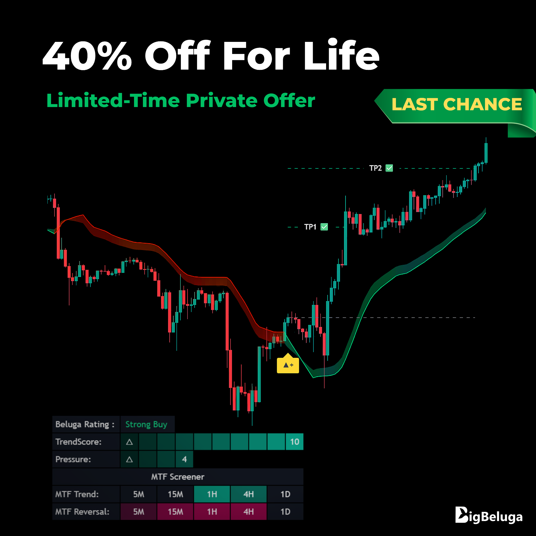 Bigbeluga Facebook ad