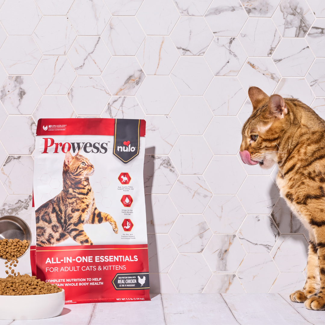 Nulo Pet Food Facebook ad: Raising The Bar In Science-Led Nutrition