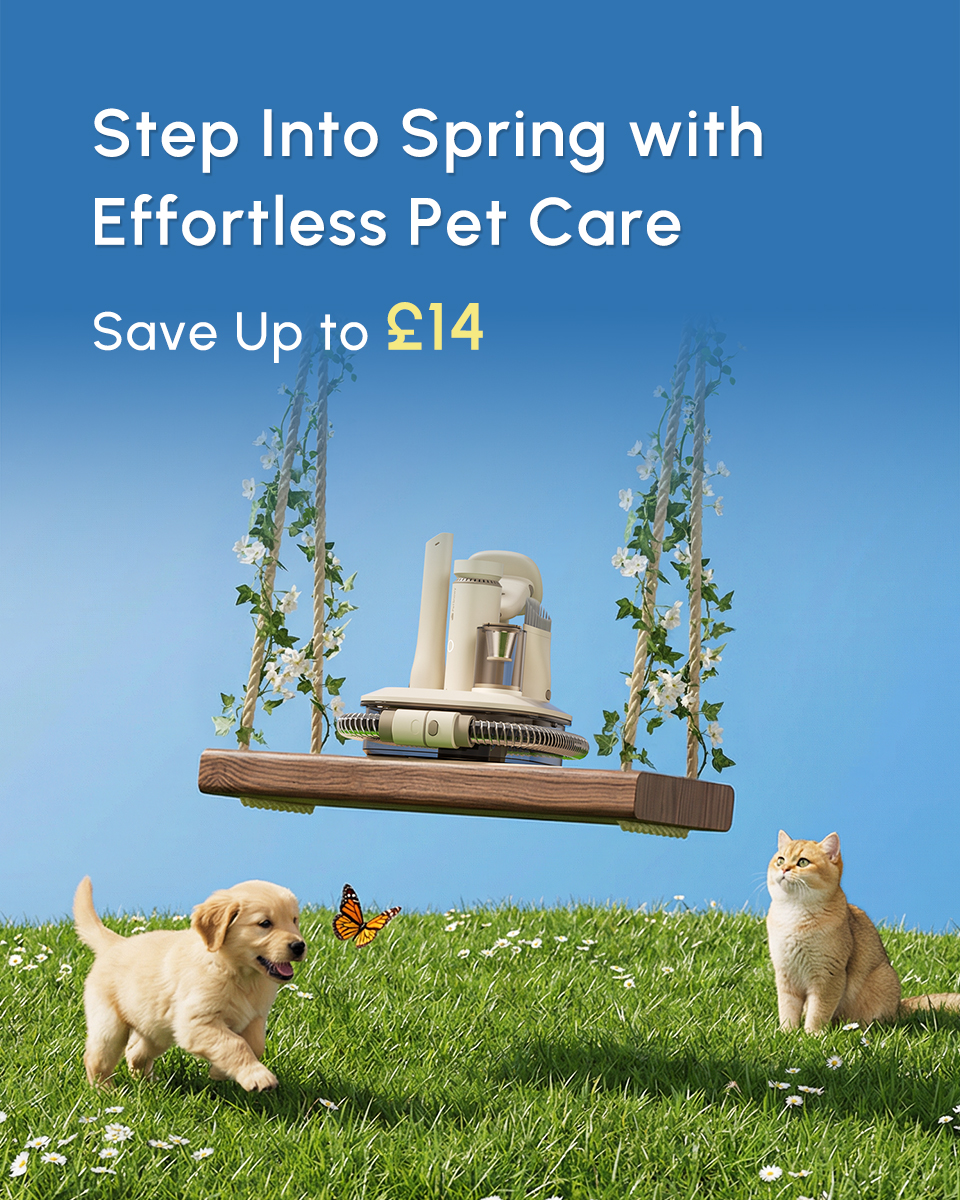 PetSnowy Facebook ad
