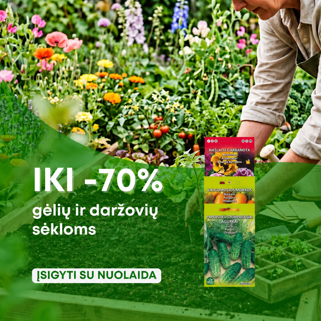 Nojaus sėklos Facebook ad