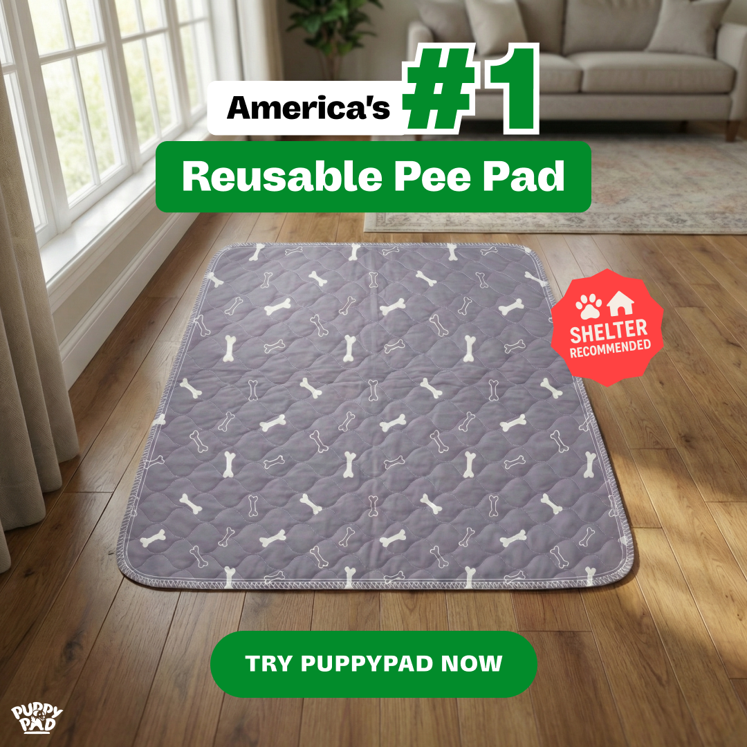 PuppyPad Facebook ad