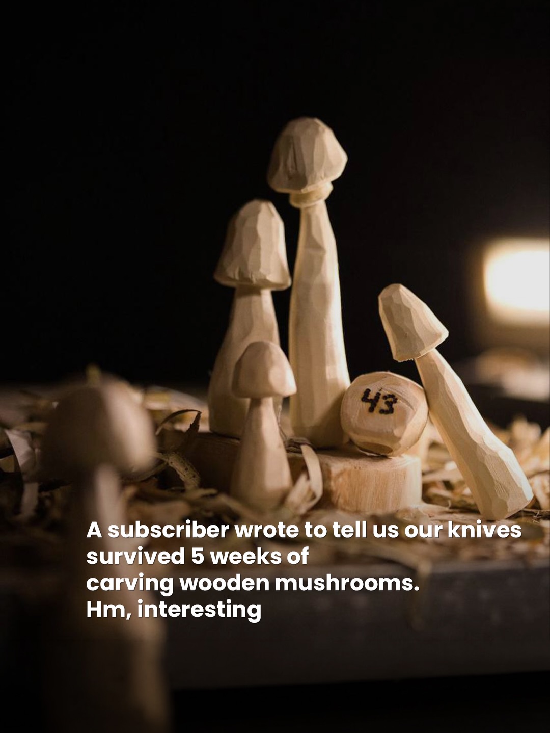 BeaverCraft Facebook ad