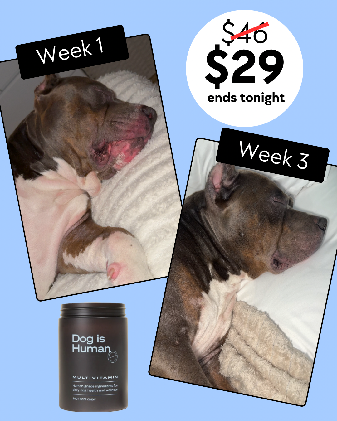 Dog is Human Facebook ad