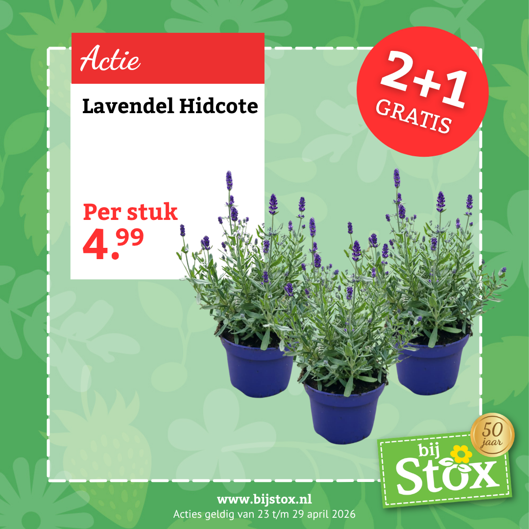 Tuincentrum BijStox Facebook ad