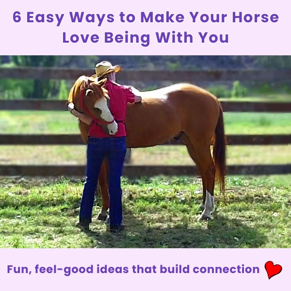 Horse Tricks 101 Facebook ad