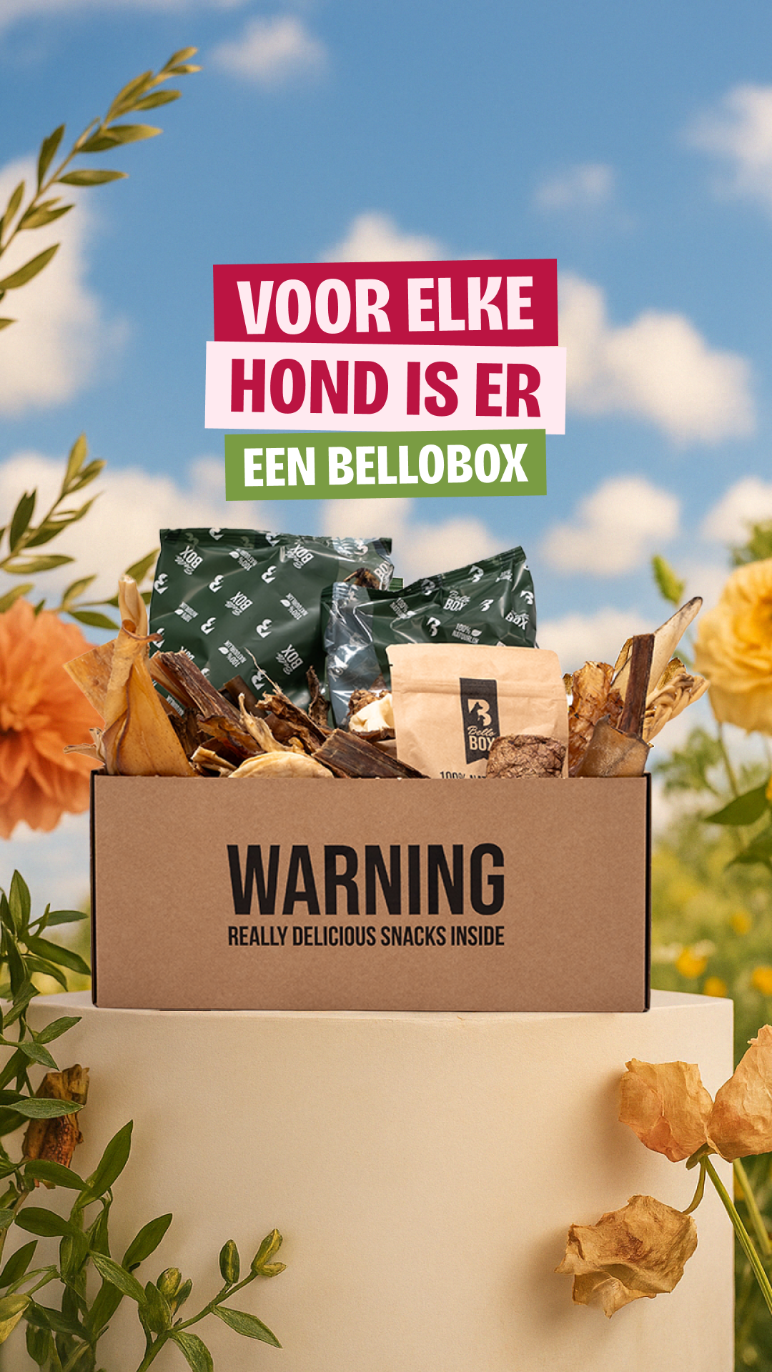 Bellobox Facebook ad