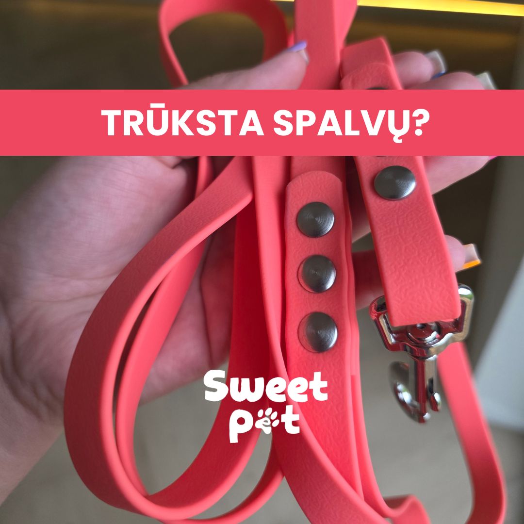 Sweet Pet Facebook ad: -20% NUOLAIDA + 3 DOVANOS