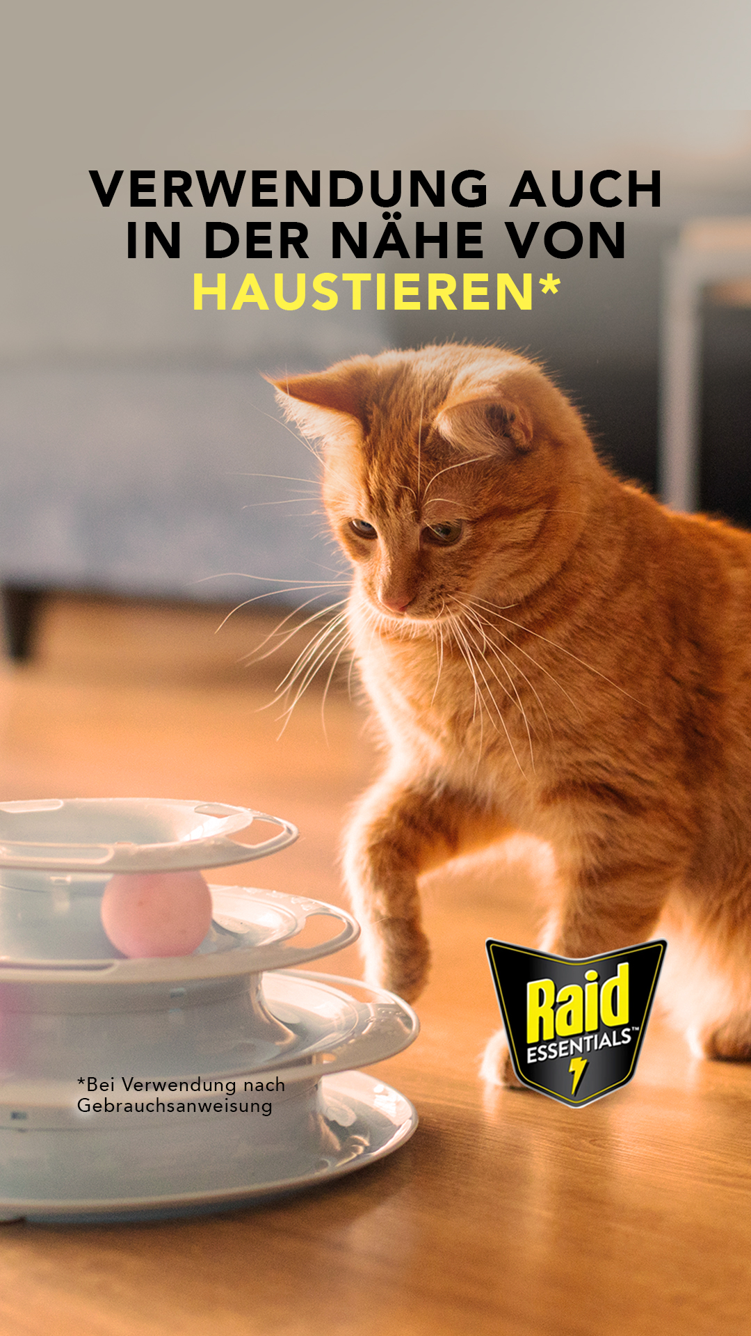 Raid Facebook ad