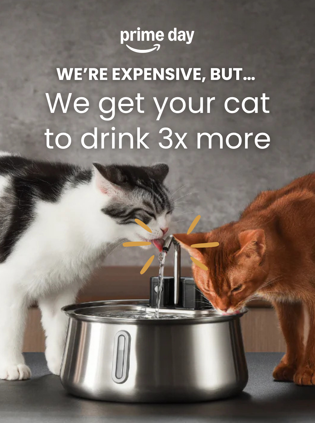 KittySpout Facebook ad