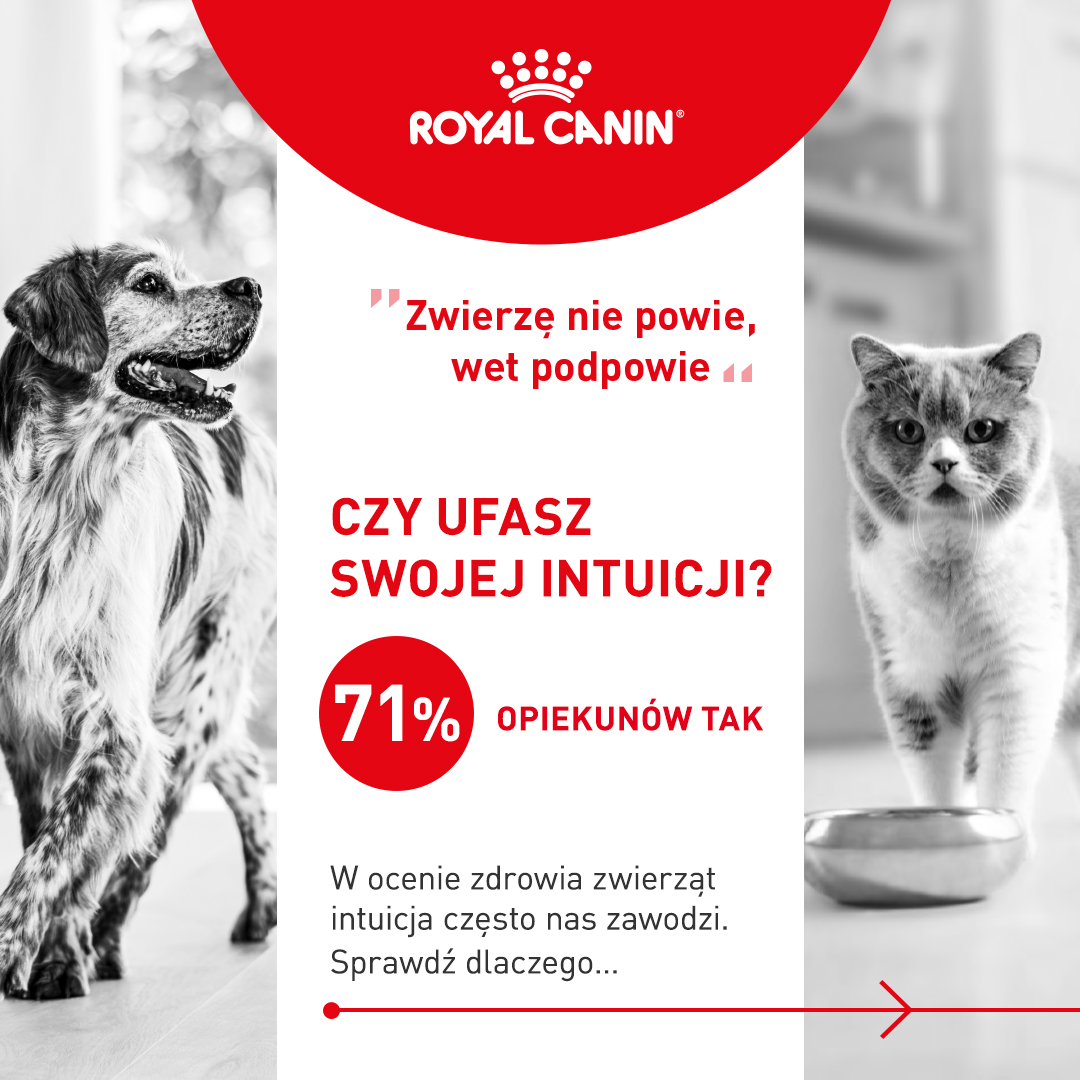 Royal Canin Facebook ad: Co próbuje Ci powiedzieć Twóje zwierzę?