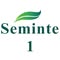 Seminte de rosii