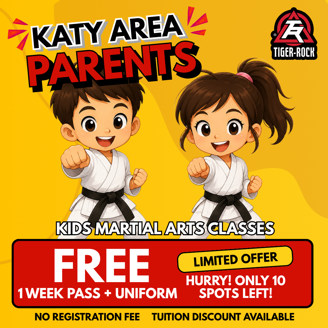 Tiger Rock Martial Arts of Katy South Facebook ad
