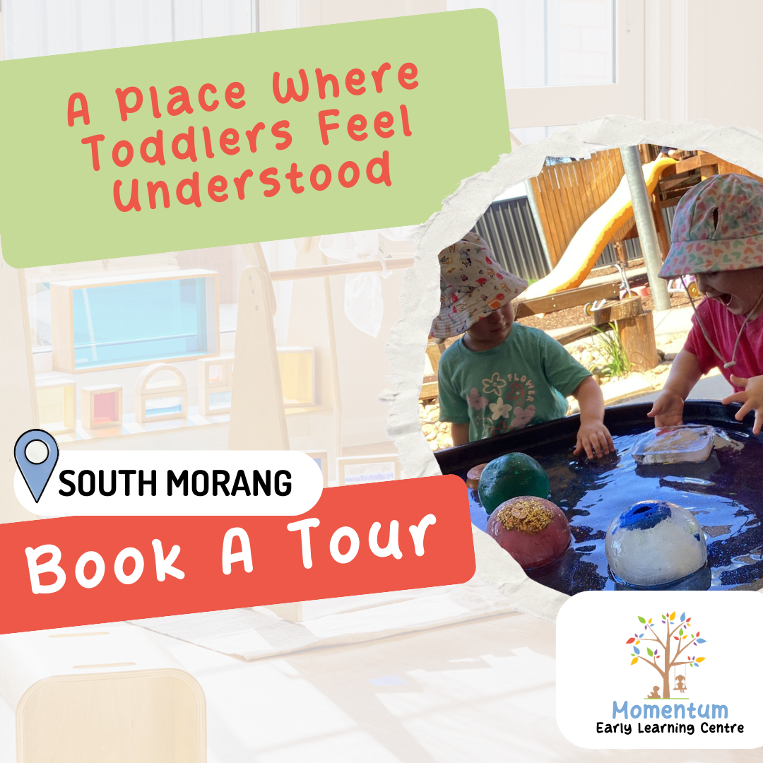 Momentum Early Learning Facebook ad: Supporting Confident, Curious Toddlers
